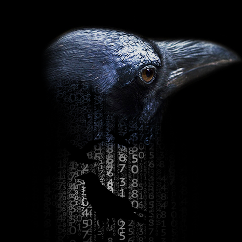2000CROWS